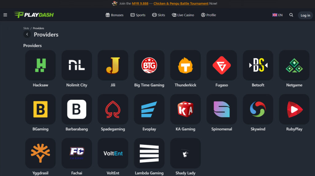 PlayDash providers